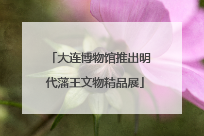 大连博物馆推出明代藩王文物精品展