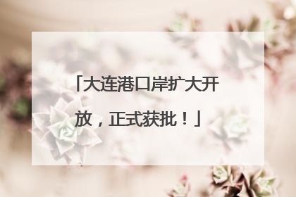 大连港口岸扩大开放，正式获批！