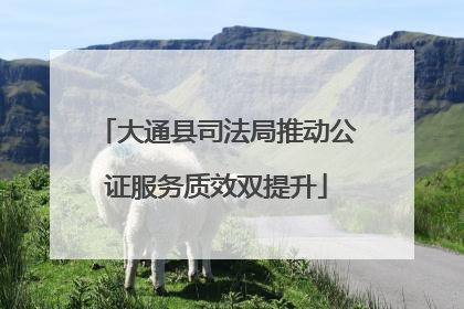 大通县司法局推动公证服务质效双提升