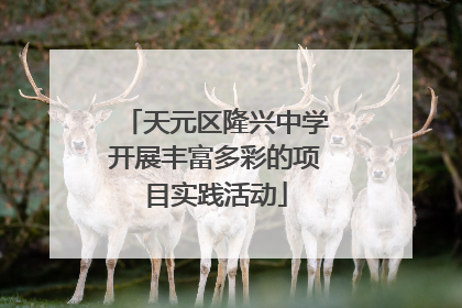 天元区隆兴中学开展丰富多彩的项目实践活动