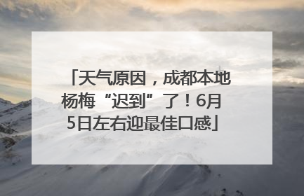 天气原因，成都本地杨梅“迟到”了！6月5日左右迎最佳口感