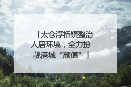 太仓浮桥镇整治人居环境，全力扮靓港城“颜值”