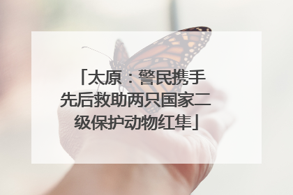 太原：警民携手 先后救助两只国家二级保护动物红隼