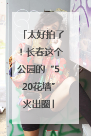 太好拍了！长春这个公园的“520花墙”火出圈