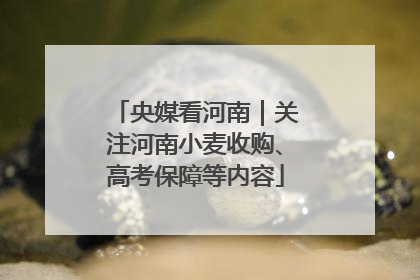央媒看河南｜关注河南小麦收购、高考保障等内容