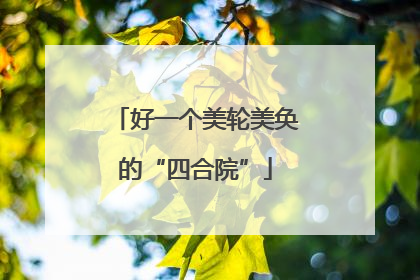好一个美轮美奂的“四合院”