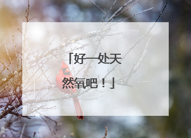 好一处天然氧吧！