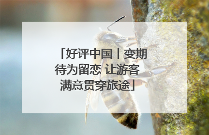 好评中国丨变期待为留恋 让游客满意贯穿旅途