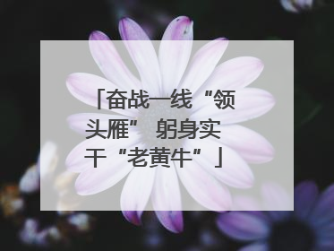奋战一线“领头雁” 躬身实干“老黄牛”