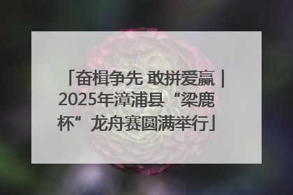 奋楫争先 敢拼爱赢｜2025年漳浦县“梁鹿杯”龙舟赛圆满举行