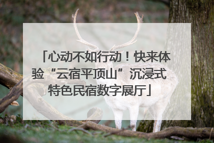 心动不如行动！快来体验“云宿平顶山”沉浸式特色民宿数字展厅