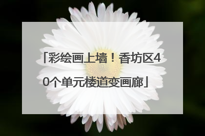 彩绘画上墙！香坊区40个单元楼道变画廊