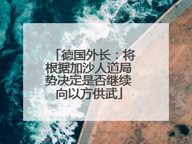 德国外长：将根据加沙人道局势决定是否继续向以方供武