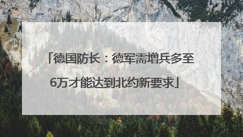 德国防长：德军需增兵多至6万才能达到北约新要求