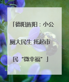 德阳旌阳：小公厕大民生 托起市民“微幸福”