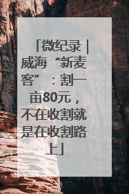 微纪录｜威海“新麦客”：割一亩80元，不在收割就是在收割路上