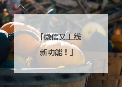微信又上线新功能！