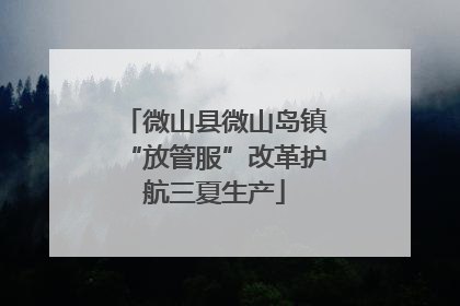 微山县微山岛镇“放管服”改革护航三夏生产