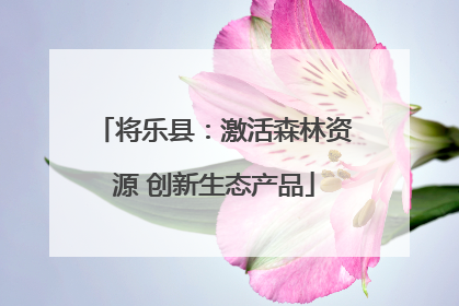 将乐县：激活森林资源 创新生态产品