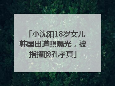 小沈阳18岁女儿韩国出道照曝光，被指撞脸孔孝真
