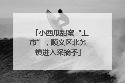 小西瓜甜蜜“上市”，顺义区北务镇进入采摘季