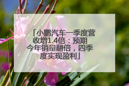 小鹏汽车一季度营收增1.4倍：预期今年销量翻倍，四季度实现盈利
