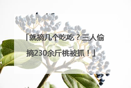 就摘几个吃吃？三人偷摘230余斤桃被抓！