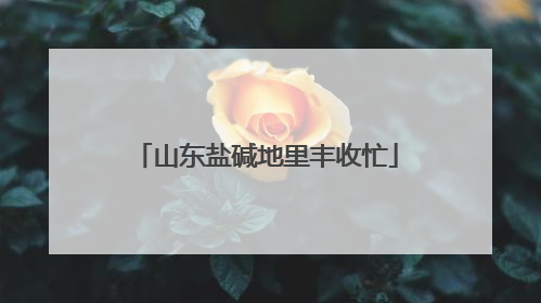 山东盐碱地里丰收忙