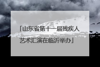 山东省第十一届残疾人艺术汇演在临沂举办