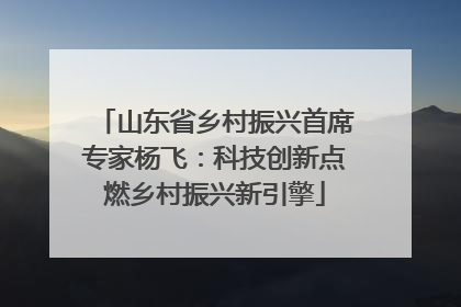 山东省乡村振兴首席专家杨飞：科技创新点燃乡村振兴新引擎
