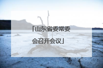山东省委常委会召开会议