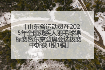 山东省运动员在2025年全国残疾人羽毛球锦标赛暨东京聋奥会选拔赛中斩获3银1铜
