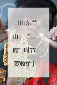 山东兰山：“三夏”时节麦收忙