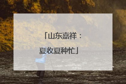 山东嘉祥：夏收夏种忙