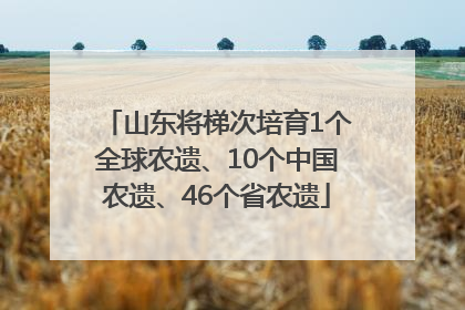 山东将梯次培育1个全球农遗、10个中国农遗、46个省农遗