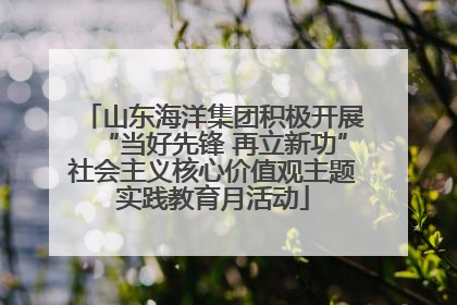 山东海洋集团积极开展“当好先锋 再立新功”社会主义核心价值观主题实践教育月活动
