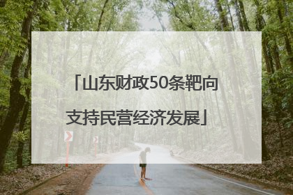 山东财政50条靶向支持民营经济发展