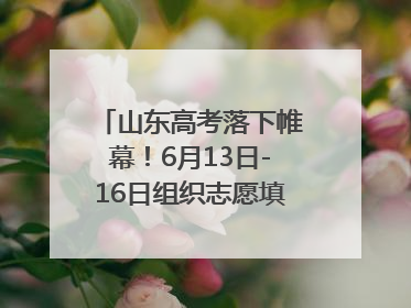 山东高考落下帷幕！6月13日-16日组织志愿填报模拟演练