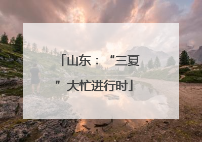 山东：“三夏”大忙进行时