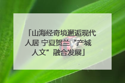 山海经奇境邂逅现代人居 宁夏贺兰“产城人文”融合发展