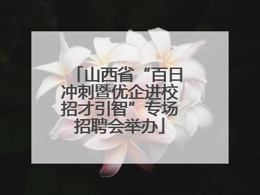 山西省“百日冲刺暨优企进校招才引智”专场招聘会举办