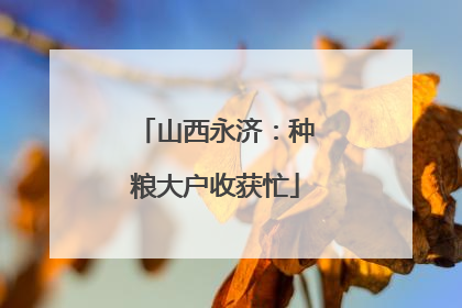 山西永济：种粮大户收获忙