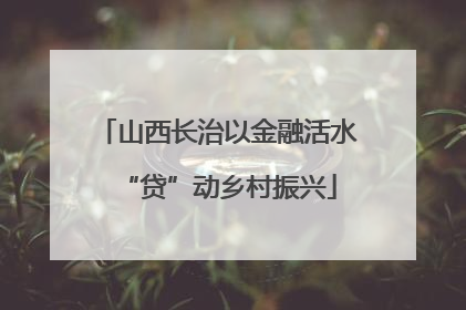 山西长治以金融活水“贷”动乡村振兴