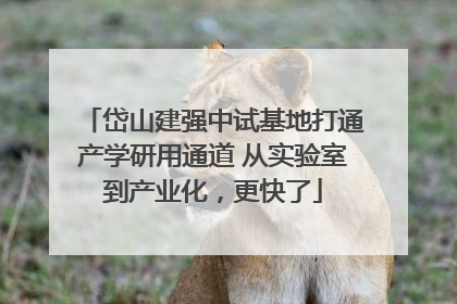 岱山建强中试基地打通产学研用通道 从实验室到产业化，更快了