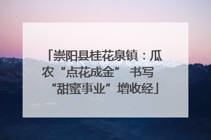 崇阳县桂花泉镇：瓜农“点花成金” 书写“甜蜜事业”增收经