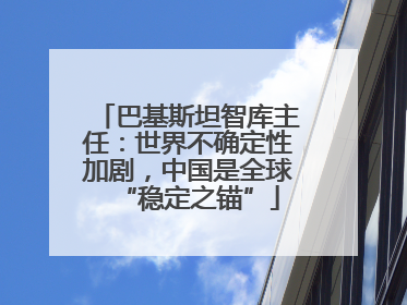 巴基斯坦智库主任：世界不确定性加剧，中国是全球“稳定之锚”