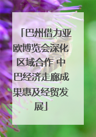 巴州借力亚欧博览会深化区域合作 中巴经济走廊成果惠及经贸发展