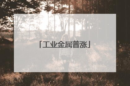 工业金属普涨