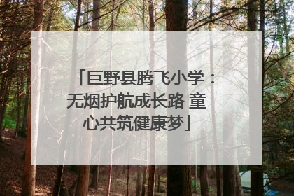 巨野县腾飞小学：无烟护航成长路 童心共筑健康梦