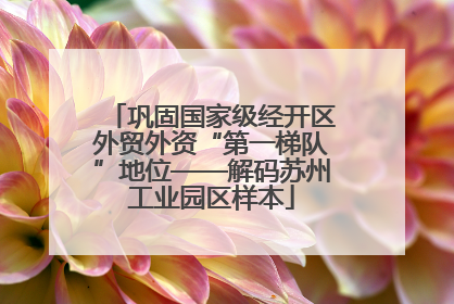 巩固国家级经开区外贸外资“第一梯队”地位——解码苏州工业园区样本